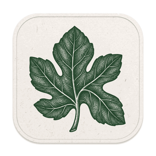 Konfig app icon